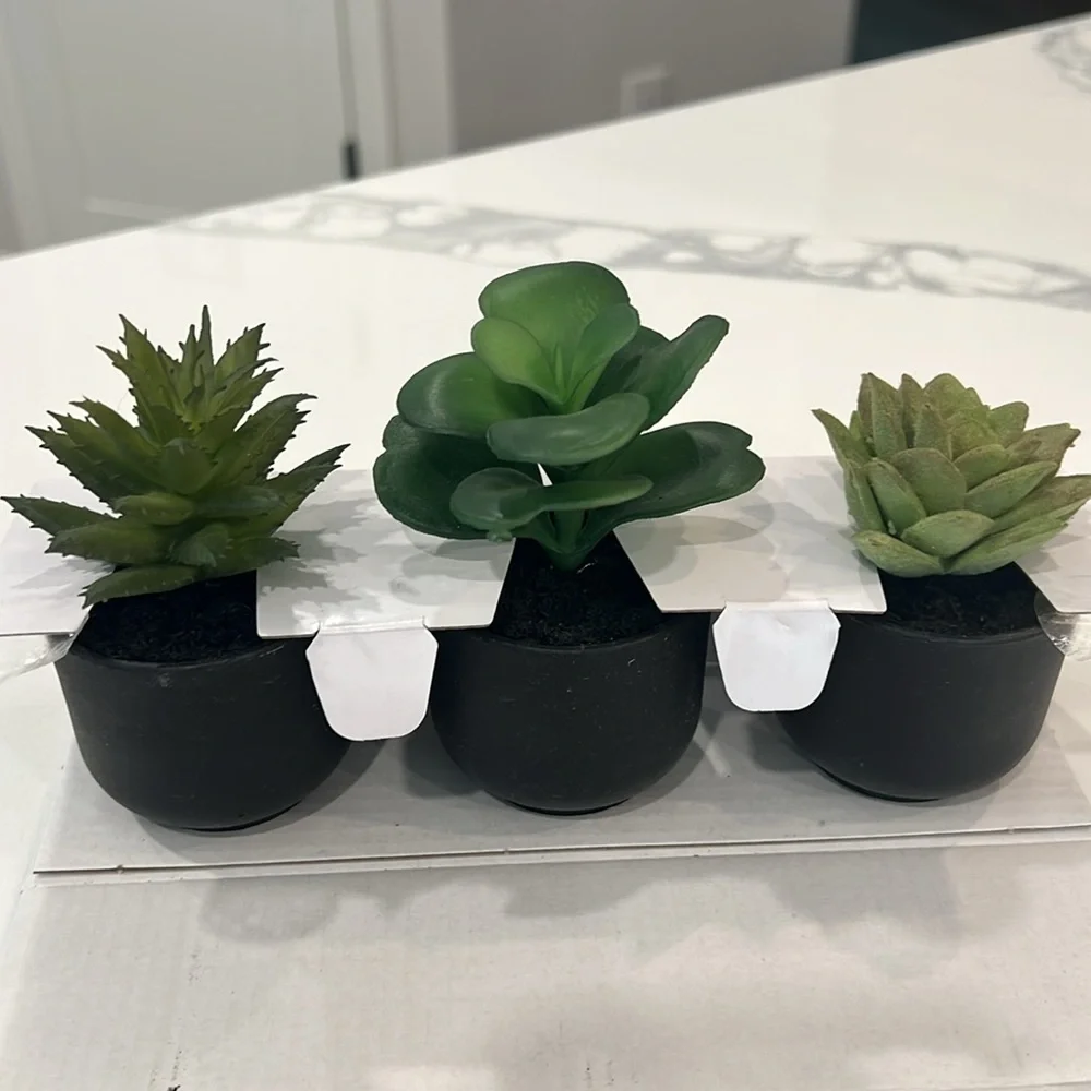 🌿Cute. Mini Plants 3pc